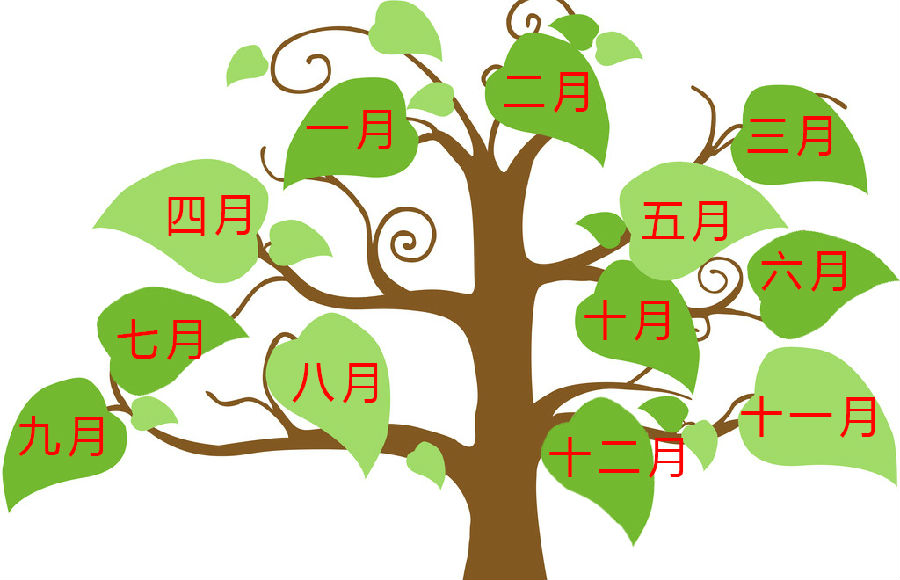 AFP考试